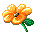 little yellow flower